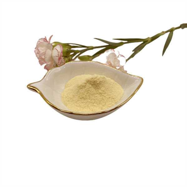 Light Yellow Organic Amino Acids Powder Plant Amino Acids 5% Moisture